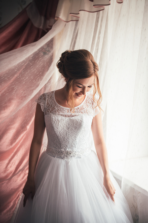 portrait of a young bride on a light backgroundの写真素材