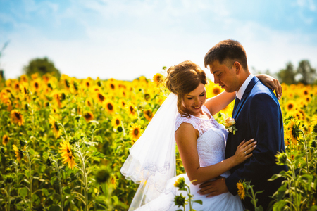 bride and groom against the background of a field of sunflowersの写真素材