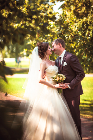 young couple groom and the bride on the park background.の写真素材