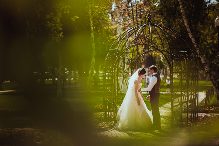 The bride and groom in the park archの写真素材