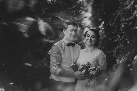 Black and white photo the bride and groom in the foliage of treesの写真素材