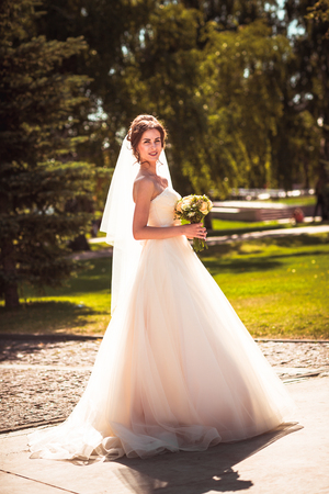 The beautiful brunette bride on a walk in parkの写真素材