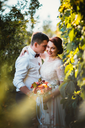 The bride and groom in the foliage of treesの写真素材