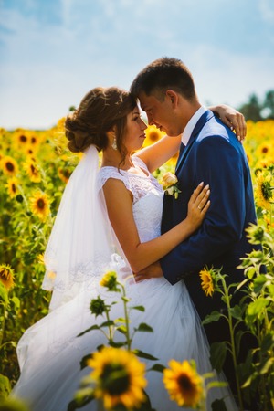 bride and groom against the background of a field of sunflowersの写真素材