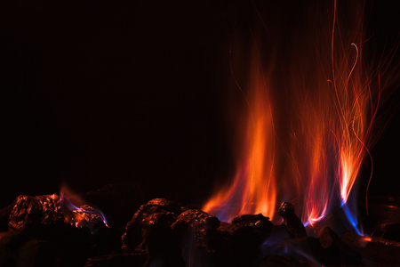 Camp fire in the dark night backgroundの写真素材
