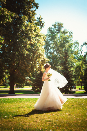 The beautiful brunette bride on a walk in parkの写真素材