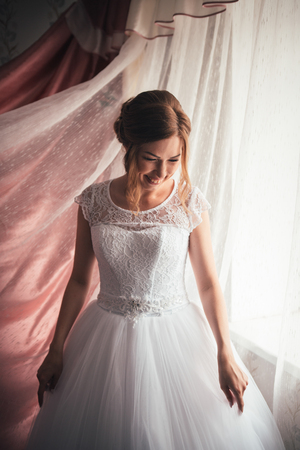 Portrait of a young bride on a light backgroundの写真素材