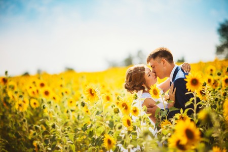 bride and groom against the background of a field of sunflowersの写真素材