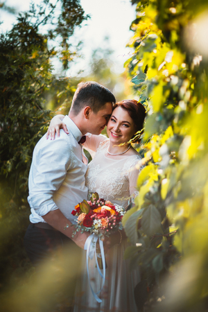 A bride and a groom in the foliage of treesの写真素材