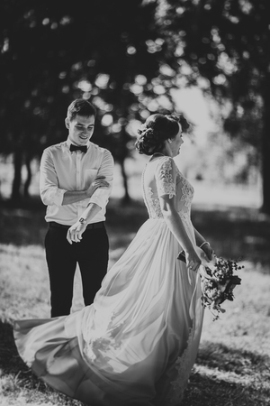 Black and white photo bride and groom in the background of park treesの写真素材