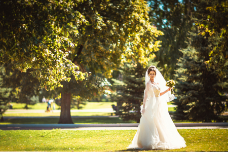 The beautiful brunette bride on a walk in parkの写真素材