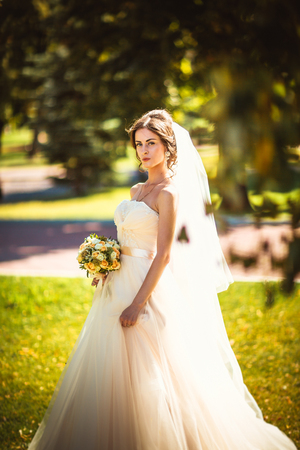 The beautiful brunette bride on a walk in parkの写真素材