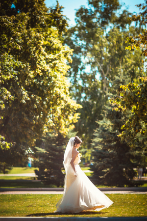 The beautiful brunette bride on a walk in parkの写真素材