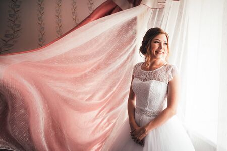 portrait of a young bride on a light backgroundの写真素材