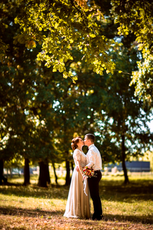 The bride and groom in the background of park treesの写真素材