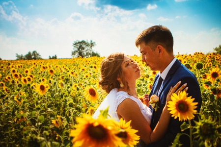 bride and groom against the background of a field of sunflowersの写真素材