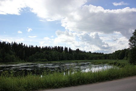beautiful lake landscape with trees and herbsの写真素材