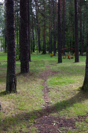 beautiful summer landscape of the park with a roadの写真素材