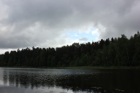 beautiful lake landscape with trees and herbsの写真素材