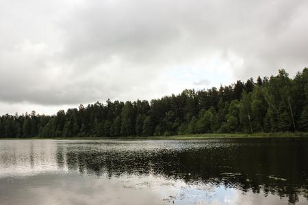 beautiful lake landscape with trees and herbsの写真素材