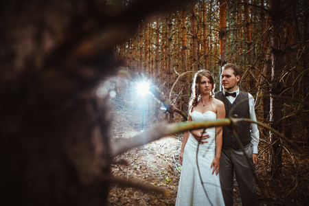 bride and groom in the forest of firs.の写真素材