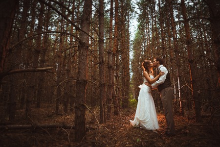bride and groom in the forest of firs.の写真素材