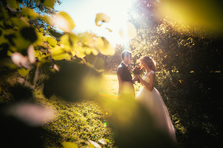 bride and groom on background summer forest.の写真素材