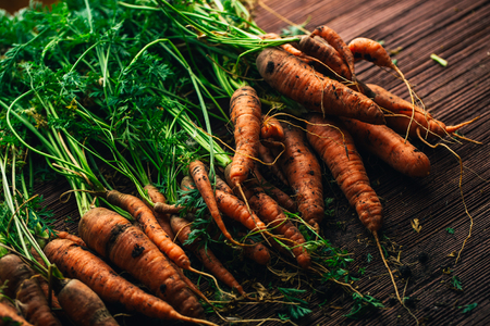Fresh carrots from the garden close-up on a wooden background.の写真素材