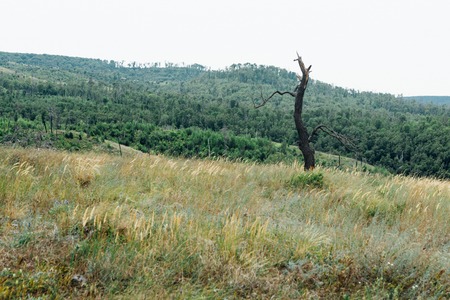 landscape of mountains and grass against the sky.の写真素材