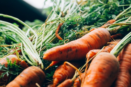 lot of carrots on a wooden background.