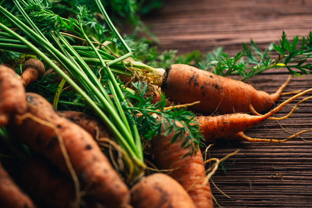 Fresh carrots from the garden close-up on a wooden background.の写真素材
