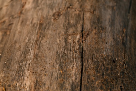 colored dark wood fiber texture close upの写真素材