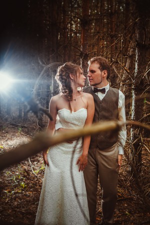 bride and groom in the forest of firs.の写真素材