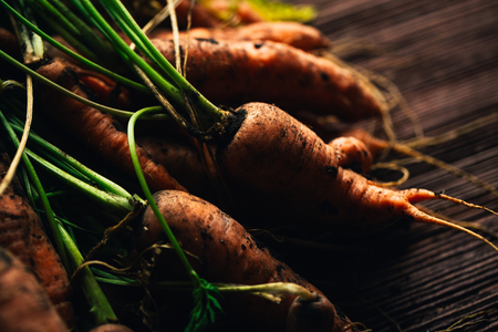 Fresh carrots from the garden close-up on a wooden background.の写真素材