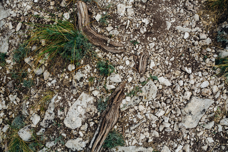dark detailed gray stone background close up.の写真素材