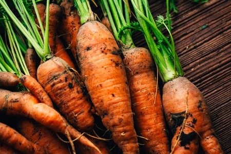 Fresh carrots close-up on a wooden background.の写真素材