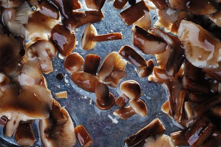 Marinated mushroomsの写真素材