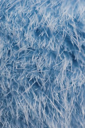 Blue synthetic fur. Texture. Close up.の写真素材