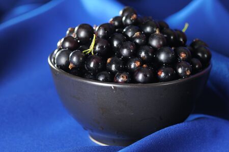 Black currants in the black bowl on the blue background. Narrow depth of field.の写真素材