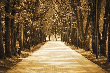 Brick pavement in the summer recreation park. Sepia.の写真素材