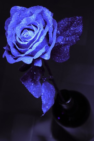 Artificial rose made from paper and plastic on the dark background.の写真素材