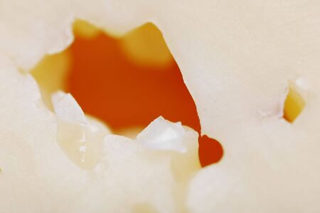 Cheese close-up. Texture.の写真素材