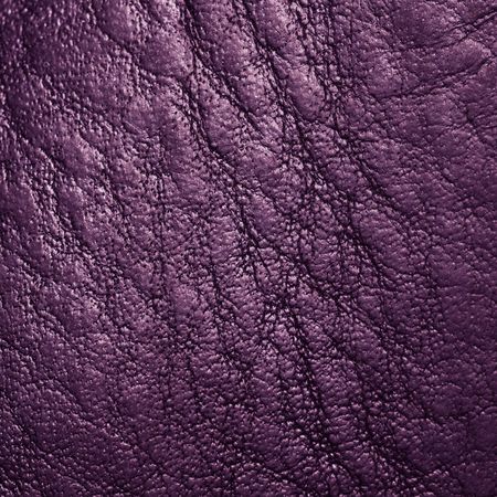 Old and used genuine leather. Close-up. Texture. Purple color.の写真素材