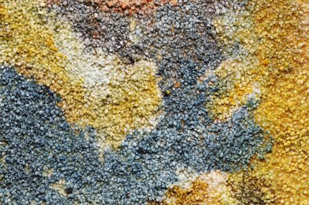 Watercolors on the white stucco. Handmade. Texture.の写真素材