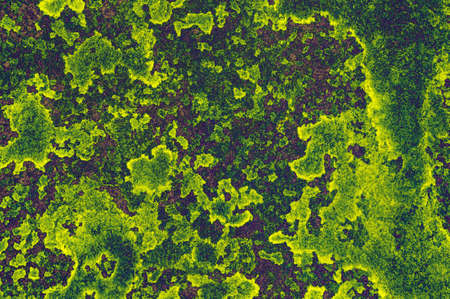 Watercolors on the white paper. Handmade. Texture. Stylized.の写真素材