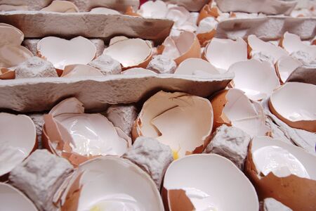 Used and empty egg-shells in the carton packing の写真素材