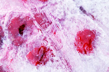 Fresh raspberry frozen in the ice cube 