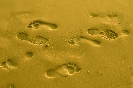 Footprints in sand on ocean coast の写真素材