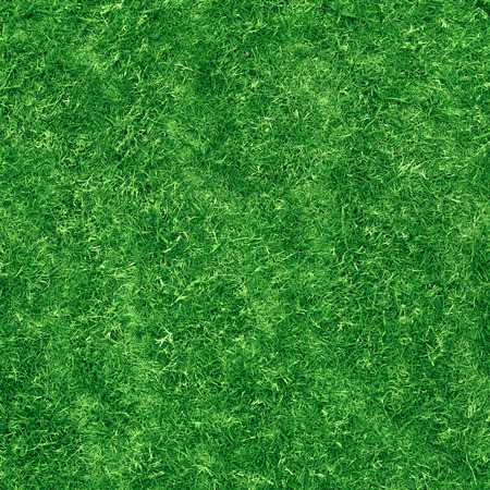 Green grass texture. Veiw from top.の写真素材