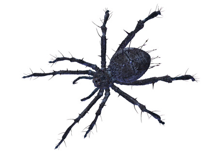 Big scary spider isolated on white wth clipping path. CG illustration.